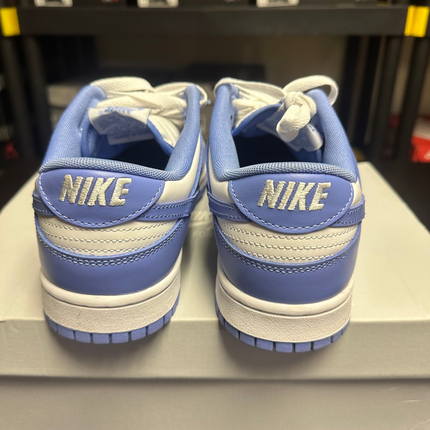 Nike Dunk Low Polar Blue (Pre-Owned) (10) *REPLACEMENT BOX*