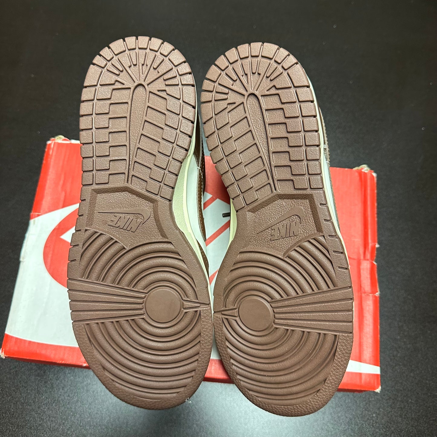 Nike Dunk Low Cacao Wow (W)