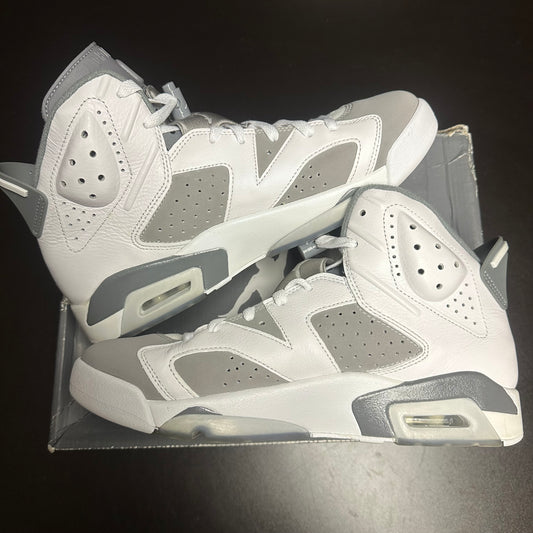 Jordan 6 Retro Cool Grey (Pre-Owned) (10)