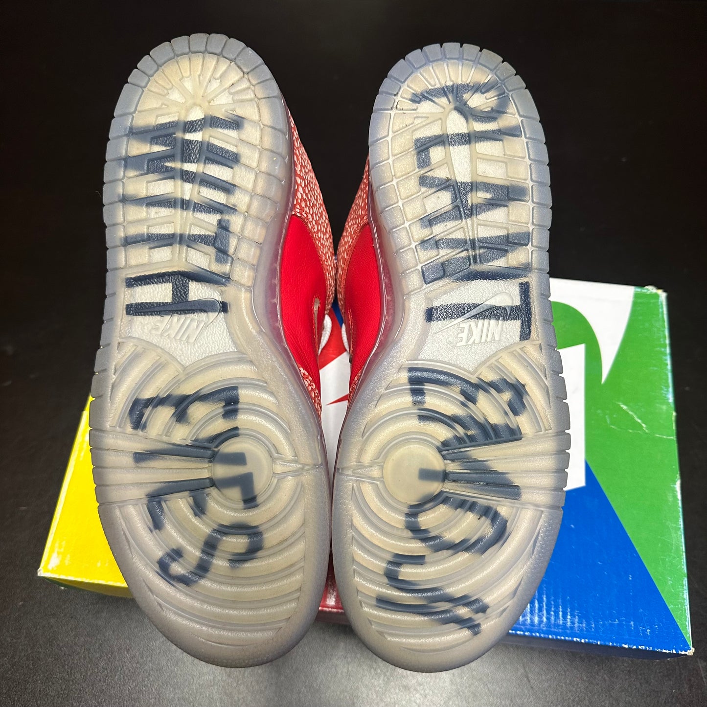 Nike SB Dunk Low Stingwater (Pre-Owned) (8.5)