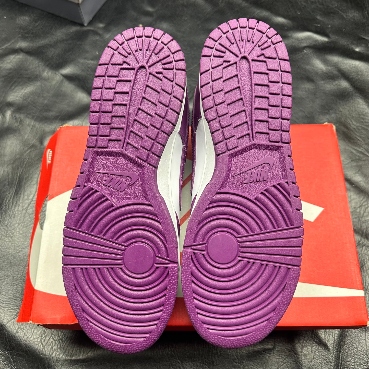 Nike Dunk Low Viotech