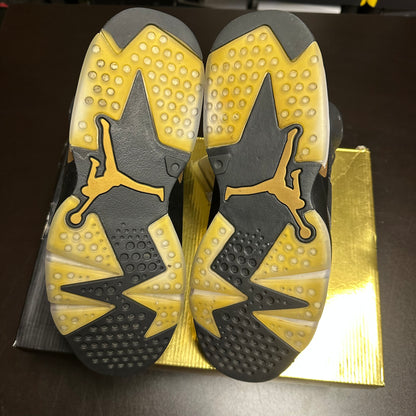Jordan 6 Retro DMP (Pre-Owned) (10.5)