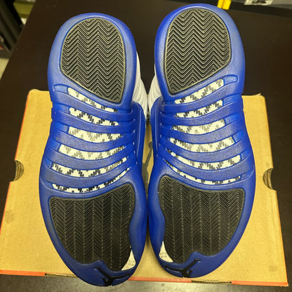Jordan 12 Retro Blueberry (Pre-Owned) (10.5)