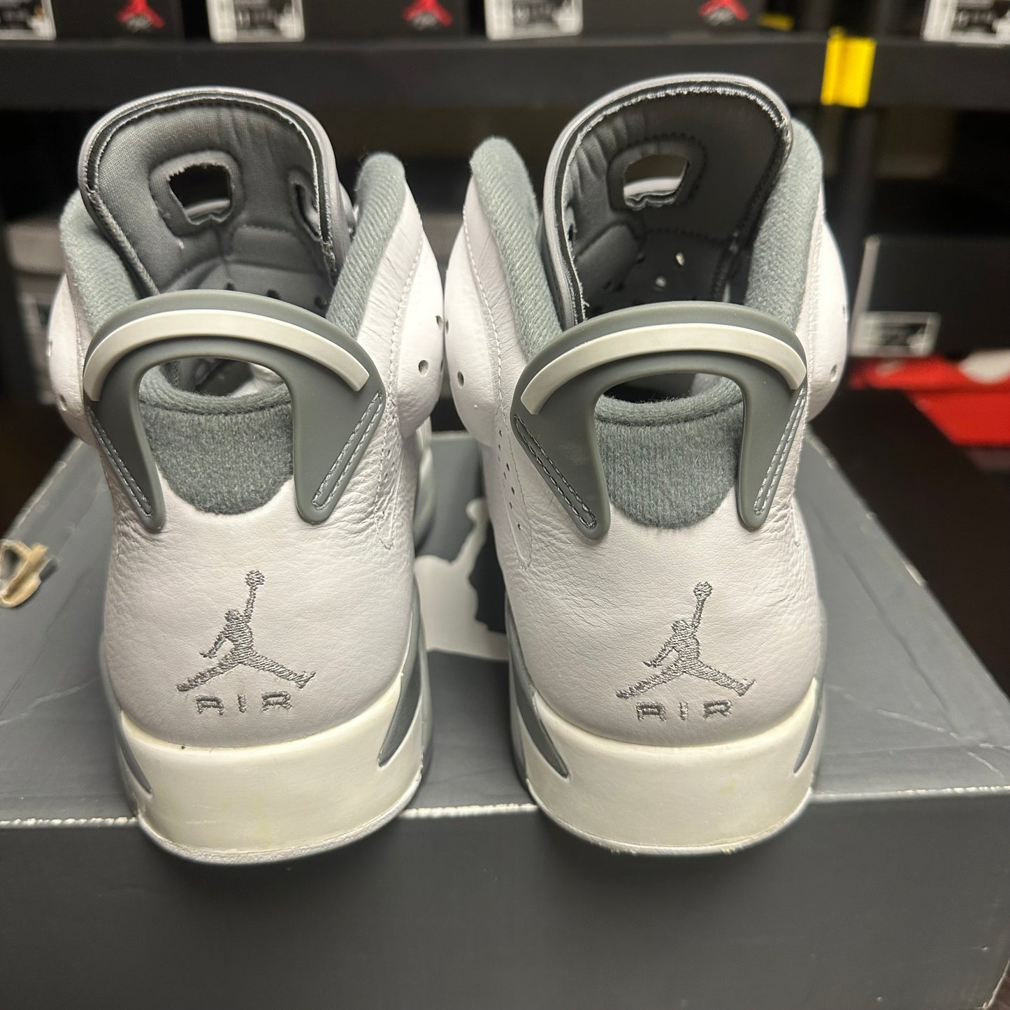 Jordan 6 Retro Cool Grey (Pre-Owned) (10)