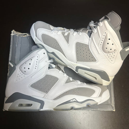 Jordan 6 Retro Cool Grey (Pre-Owned) (10)
