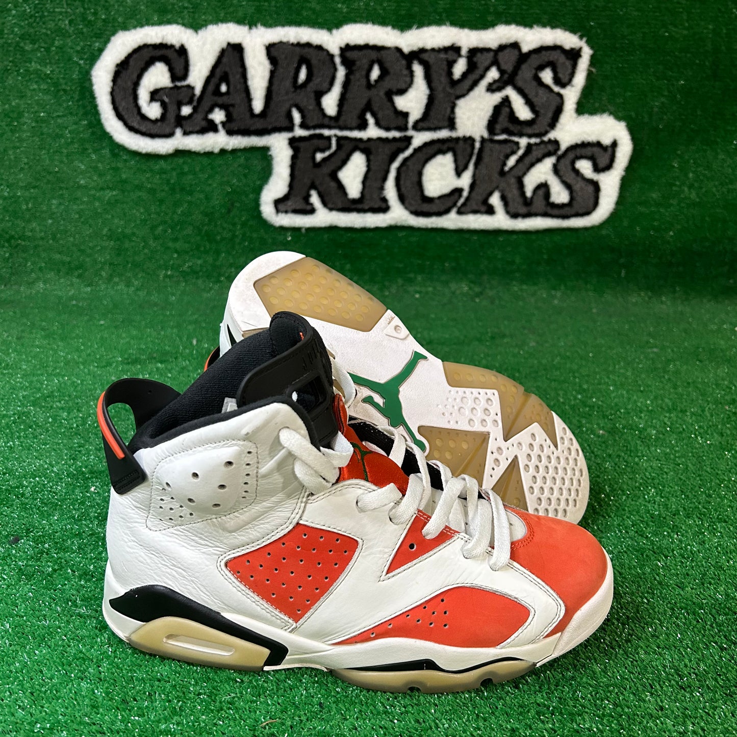 Jordan 6 Retro Gatorade (Pre-Owned)